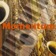 Momentum